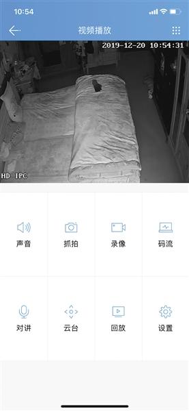 自制回看软件下载手机版ai合成视频手机软件下载-第3张图片-太平洋在线下载 自制回看软件下载手机版ai合成视频手机软件下载-第3张图片-太平洋在线下载